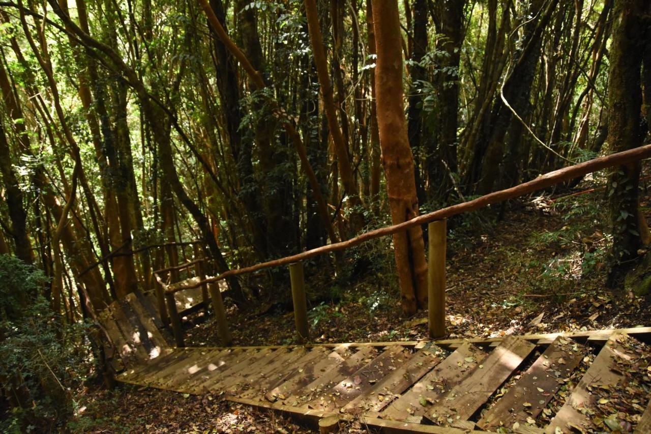 فيلا Casa Puente De Chiloe كاسترو المظهر الخارجي الصورة