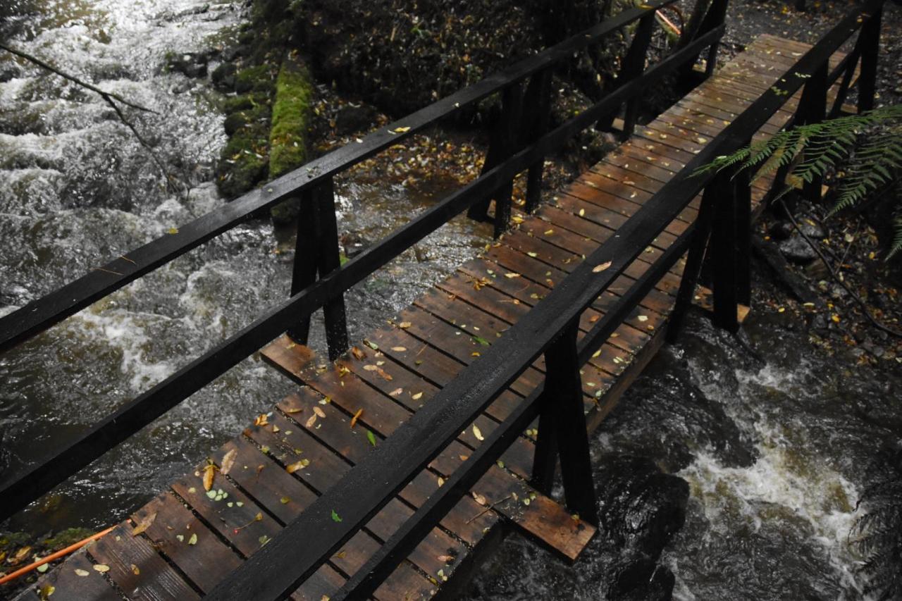 فيلا Casa Puente De Chiloe كاسترو المظهر الخارجي الصورة